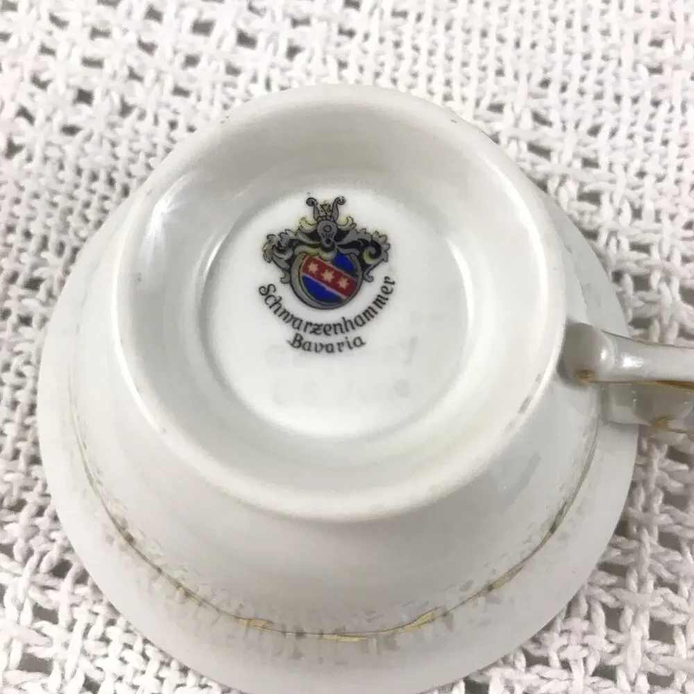 Teacup and Saucer Schwarzenhammer Bavaria Multicolor Floral Gold Details Vintage